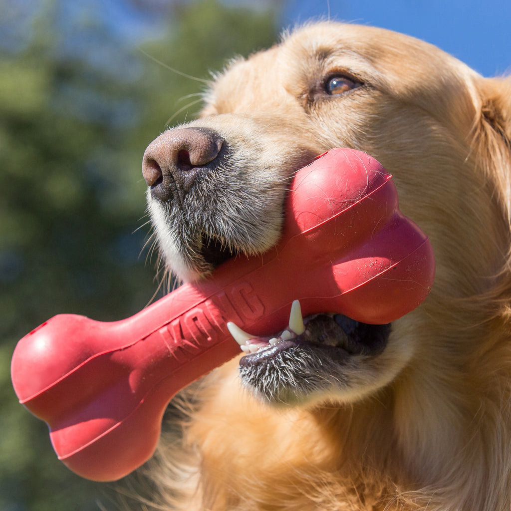 KONG Goodie Bone Large – Red Rubber Chew & Treat Toy