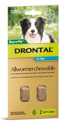 Drontal All-Wormer Chews for Labradors – 2 Pack