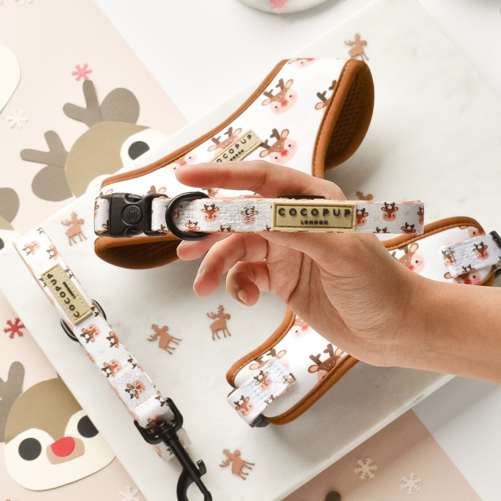 Cocopup London Ralphie Reindeer Dog Collar