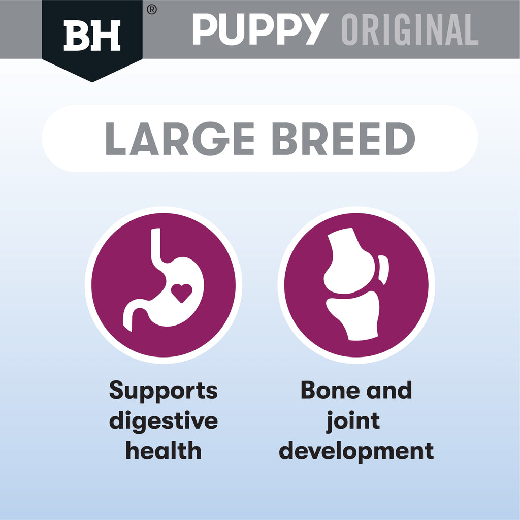 Black Hawk Original Puppy Large Breed Lamb & Rice