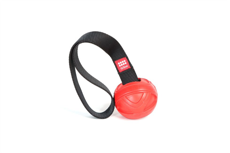 GiGwi Go-Fetch Slinger Ball – GiGwi
