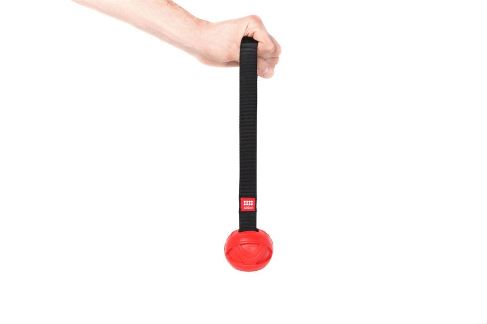 GiGwi Go-Fetch Slinger Ball – GiGwi
