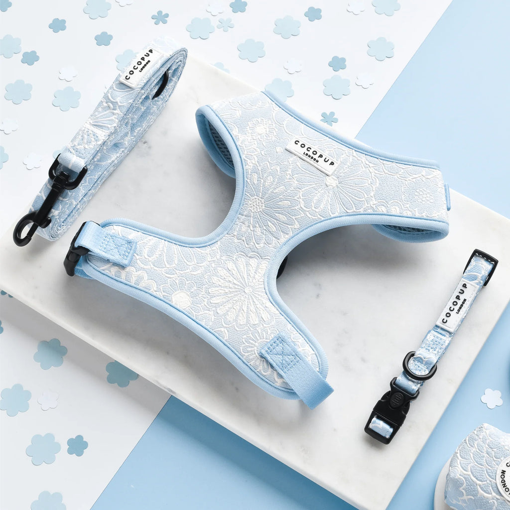 Cocopup London LUXE Baby Blue Flower Adjustable Dog Harness