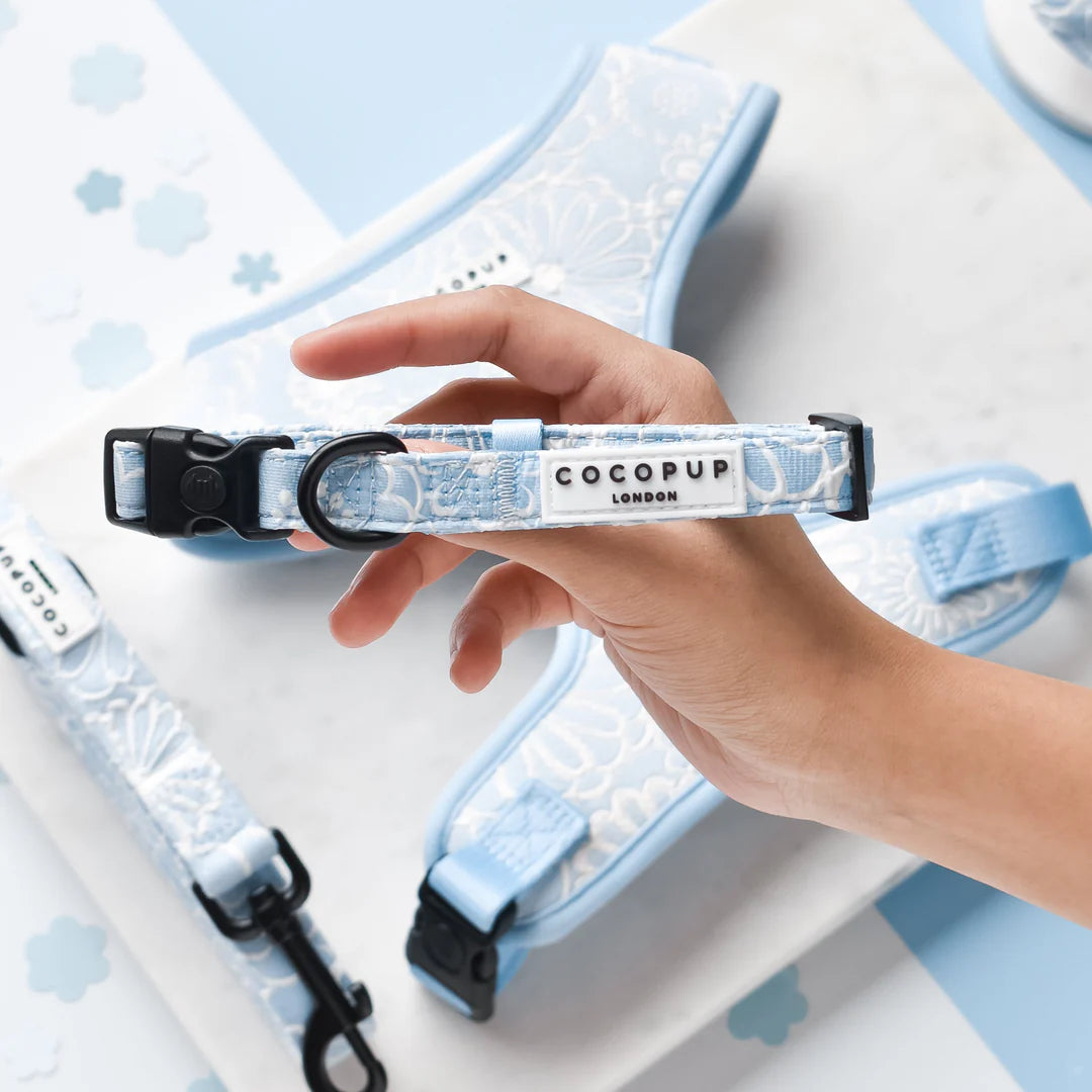 Cocopup London LUXE Baby Blue Flower Dog Collar