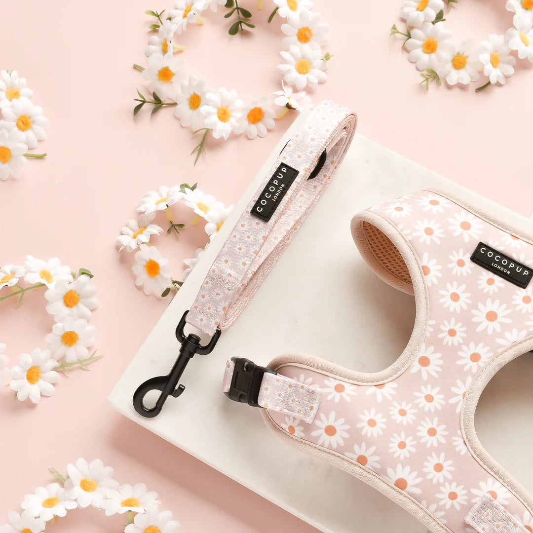 Cocopup London Daisy Chain Dog Lead