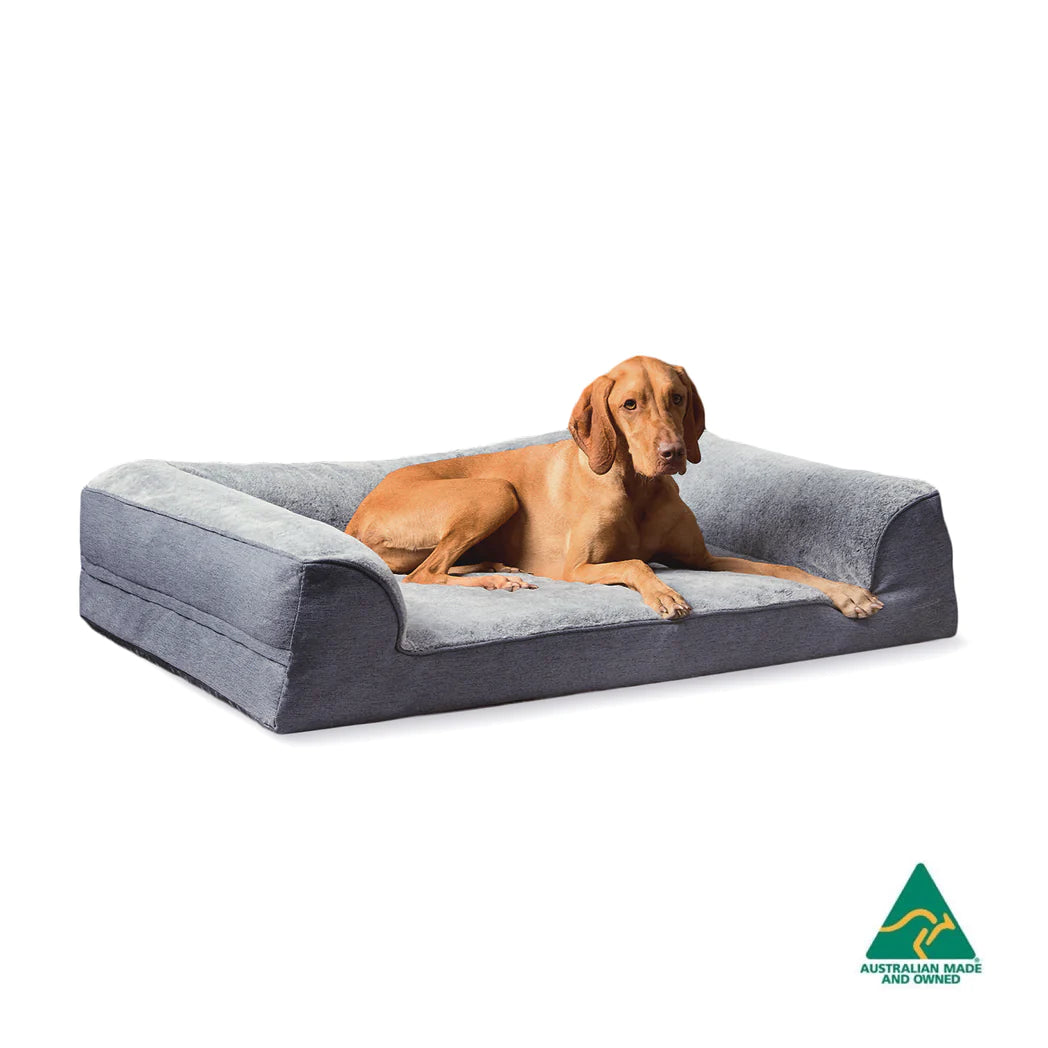 Orthopaedic Dog Bed Chinchilla Ortho Dream Sofa – Snooza