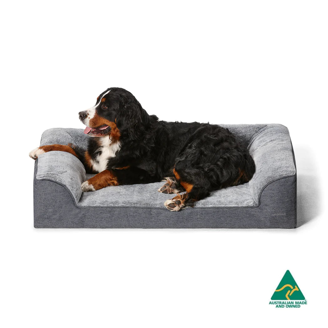 Orthopaedic Dog Bed Chinchilla Ortho Dream Sofa – Snooza
