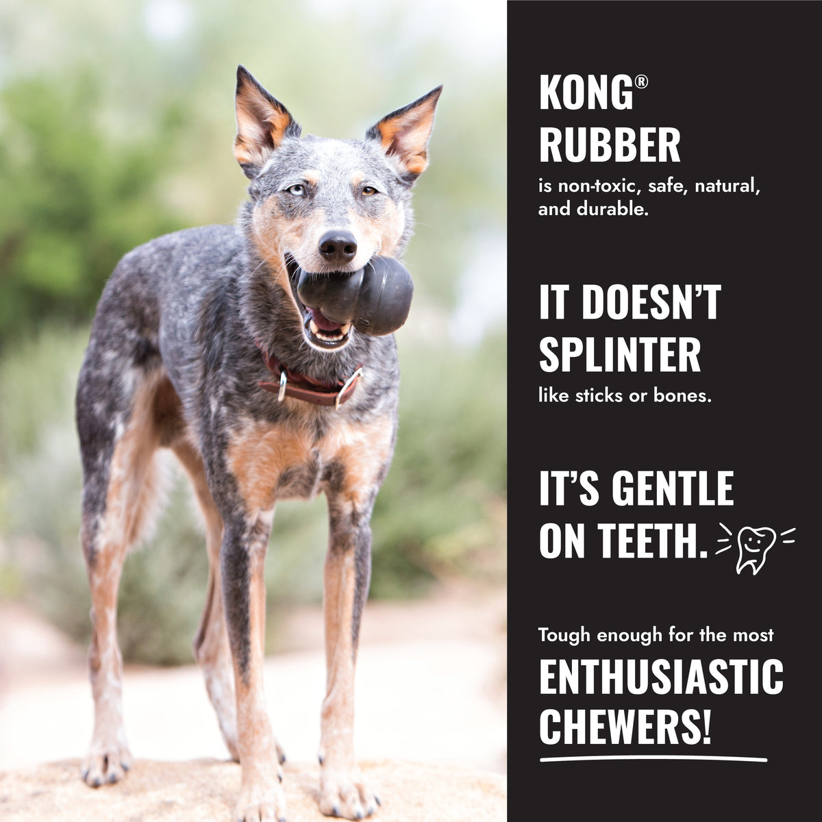 KONG Extreme Large – Black Rubber Chew & Treat Toy