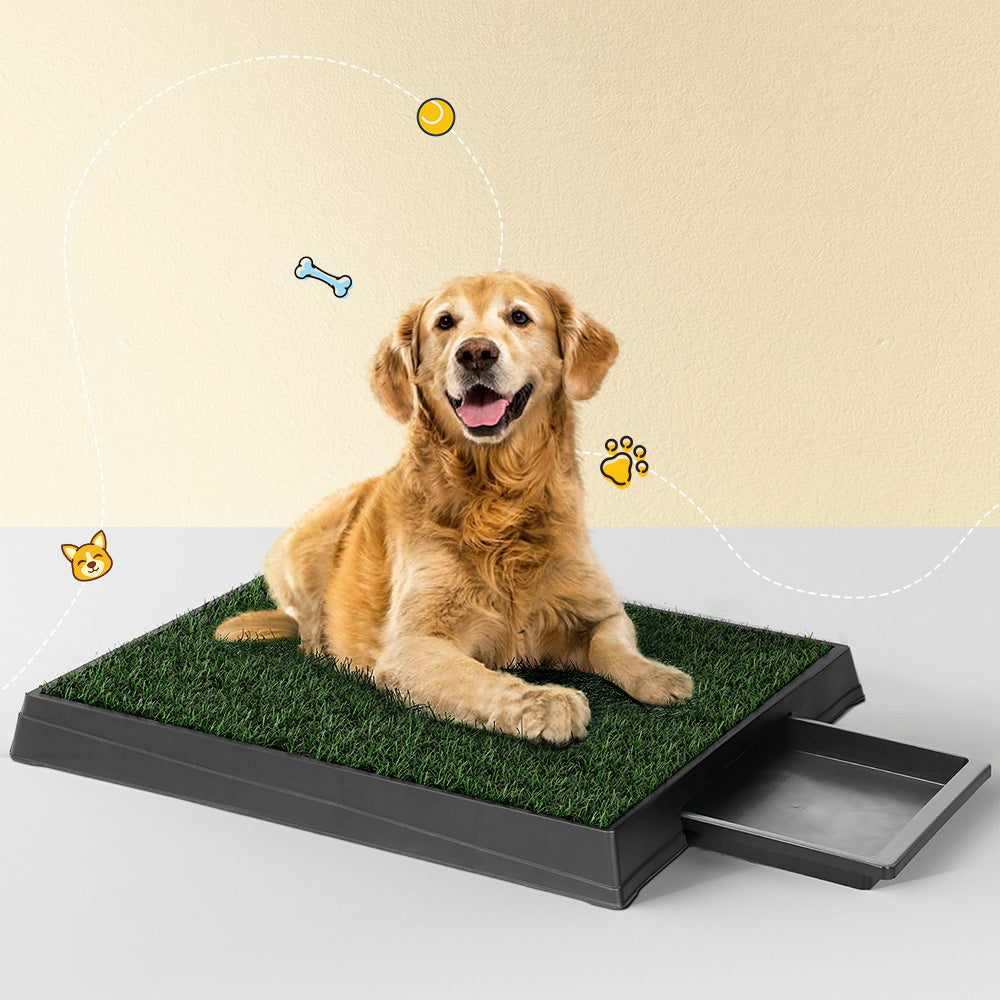 i.Pet Grass Puppy Toilet Training Tray