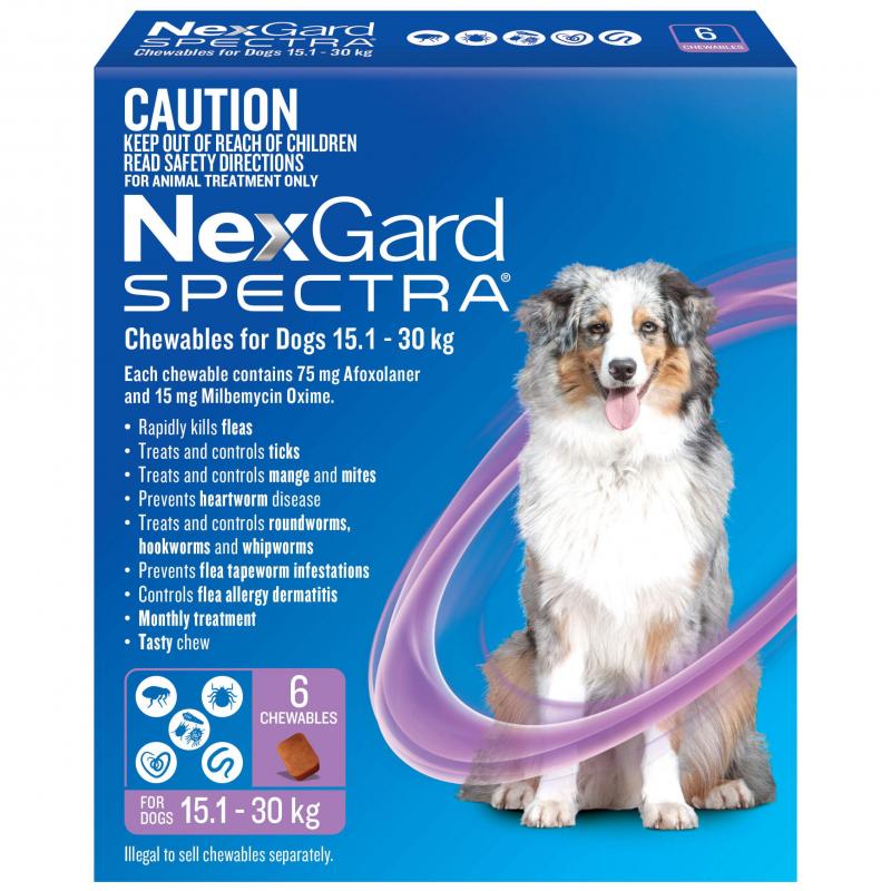 NexGard Spectra Flea, Tick, Heartworm & Worm Chews for Labradors – 3 Pack