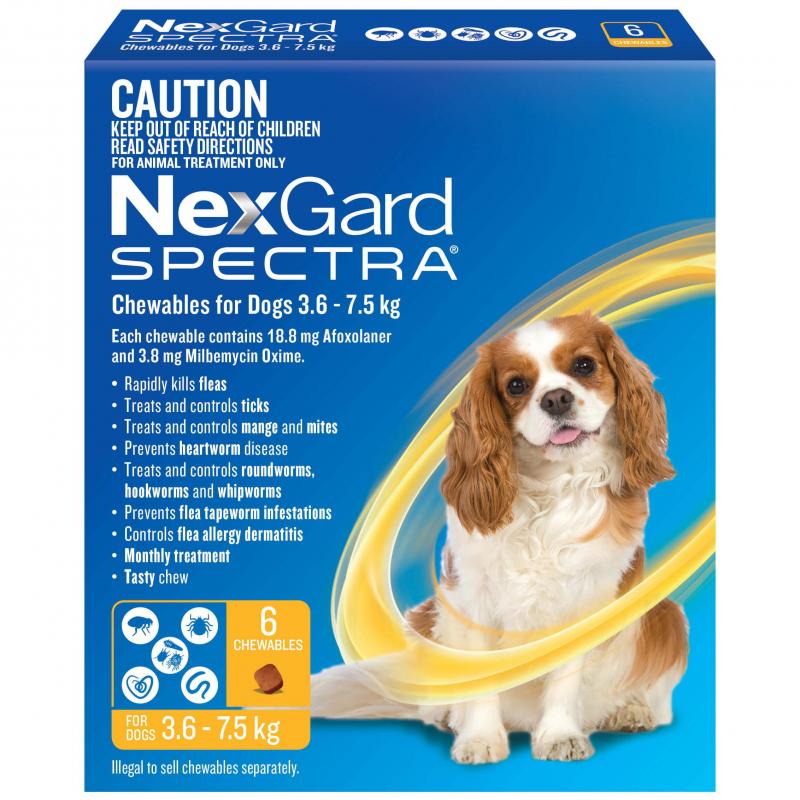 NexGard Spectra Flea, Tick, Heartworm & Worm Chews for Labradors – 3 Pack