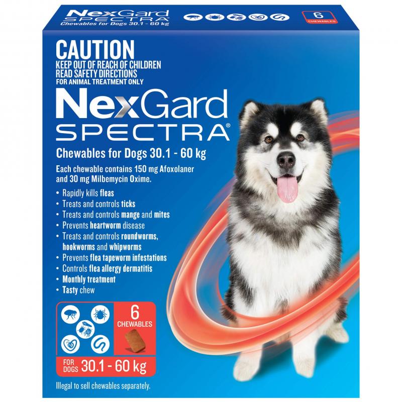 NexGard Spectra Flea, Tick, Heartworm & Worm Chews for Labradors – 3 Pack