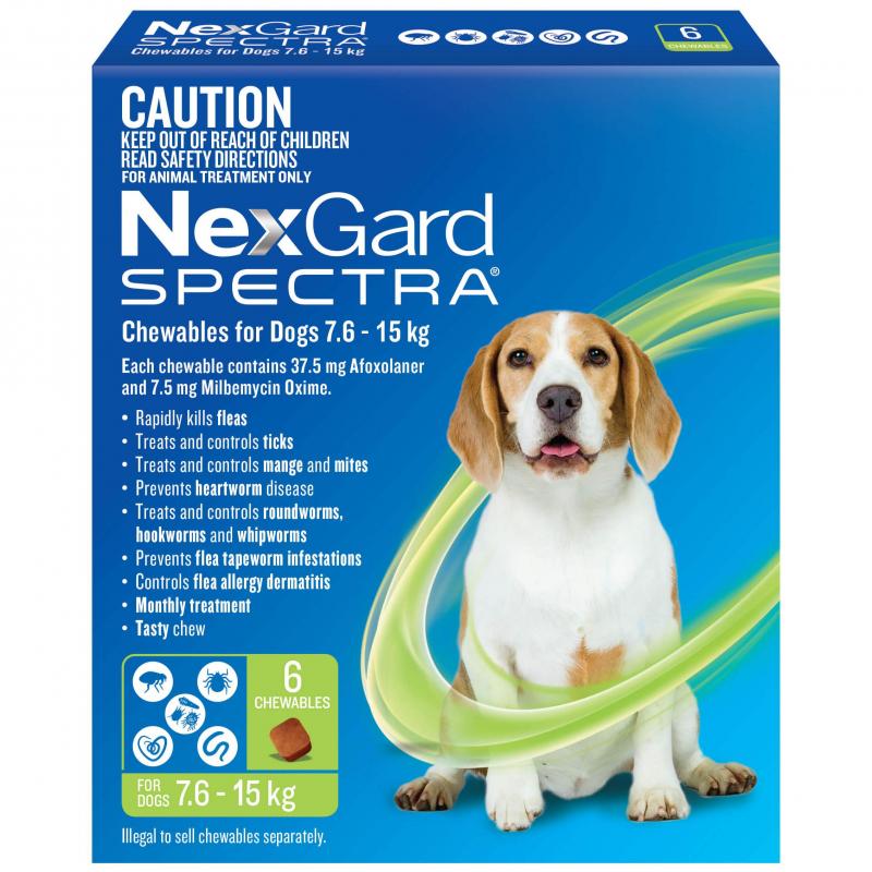 NexGard Spectra Flea, Tick, Heartworm & Worm Chews for Labradors – 3 Pack