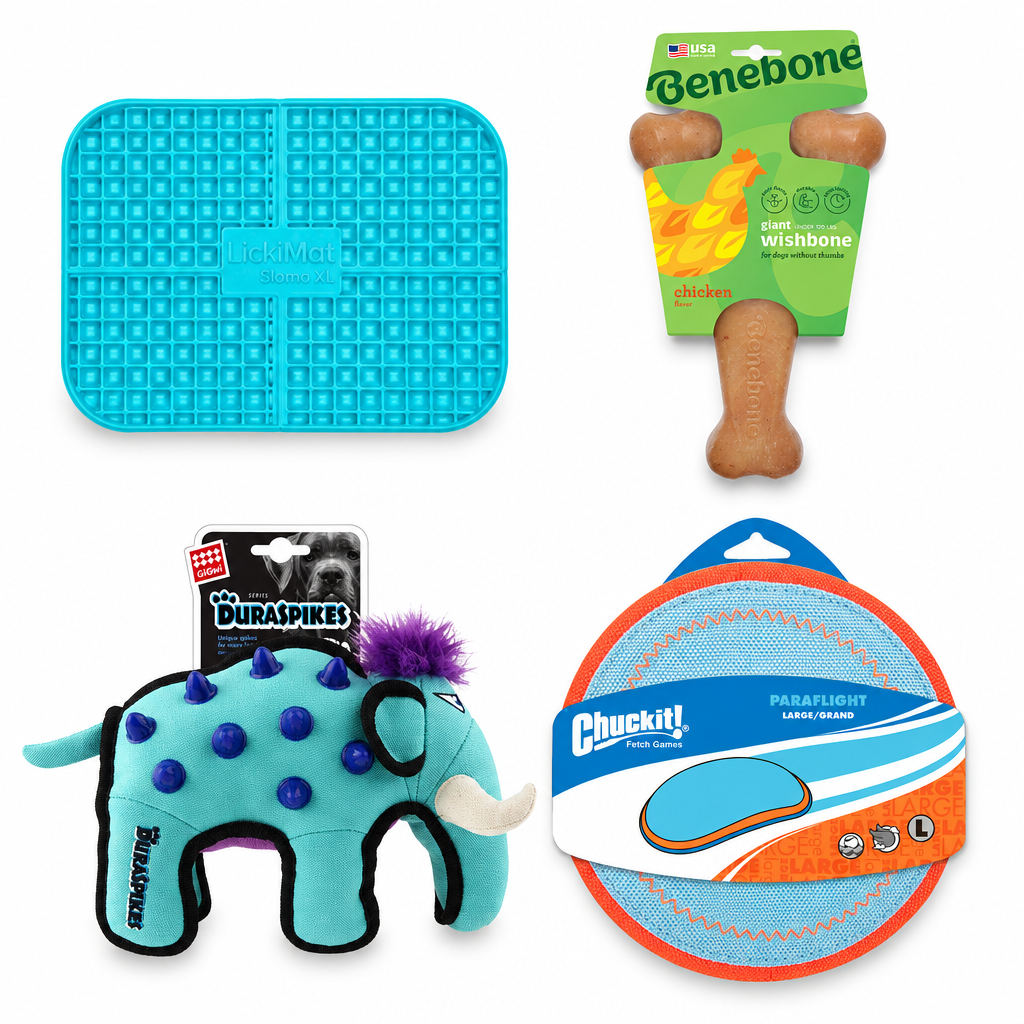 Labrador Enrichment Bundle with blue LickiMat Slomo XL, Benebone Wishbone, GiGwi Elephant and Chuckit Paraflight