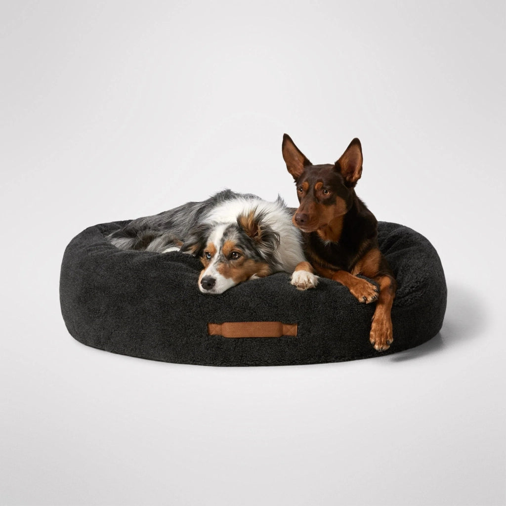 New Puppy Essentials Bundle – 13 Piece Starter Kit for Puppies